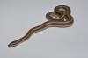 Desert Rosy Boa, Lichanura orcutti orcutti