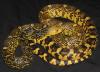Louisiana Pine Snake, Pituophis ruthveni ruthveni