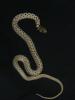 Checkered Garter Snake, Thamnophis marcianus marcianus